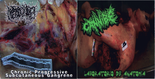 Cannibe : Cannibe - Hipermenorrea